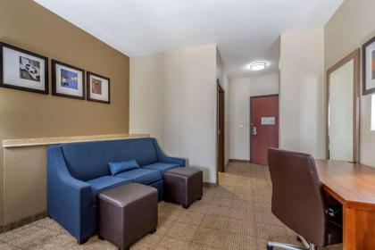 Comfort Suites Buda - image 11