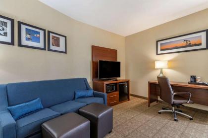 Comfort Suites Buda - image 12