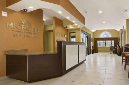 Microtel Inn & Suites by Wyndham Buda Austin South - image 2