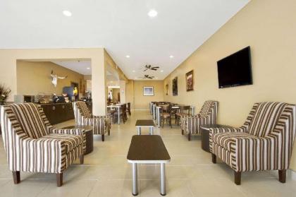 Microtel Inn & Suites by Wyndham Buda Austin South - image 3