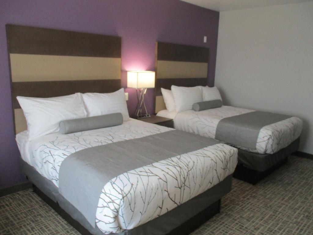 Best Western Plus Buda Austin Inn & Suites - image 3