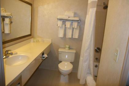 Holiday Inn Budd Lake - Rockaway Area an IHG Hotel - image 3