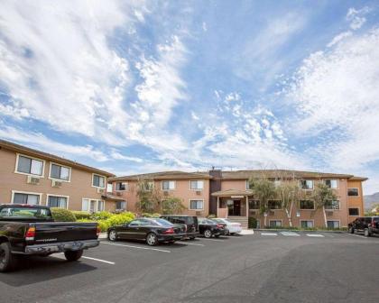 Quality Inn Buellton - Solvang - image 8