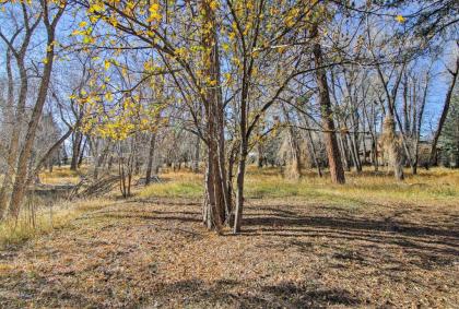 Rustic Cabin Near Downtown BV and Arkansas River! - image 8