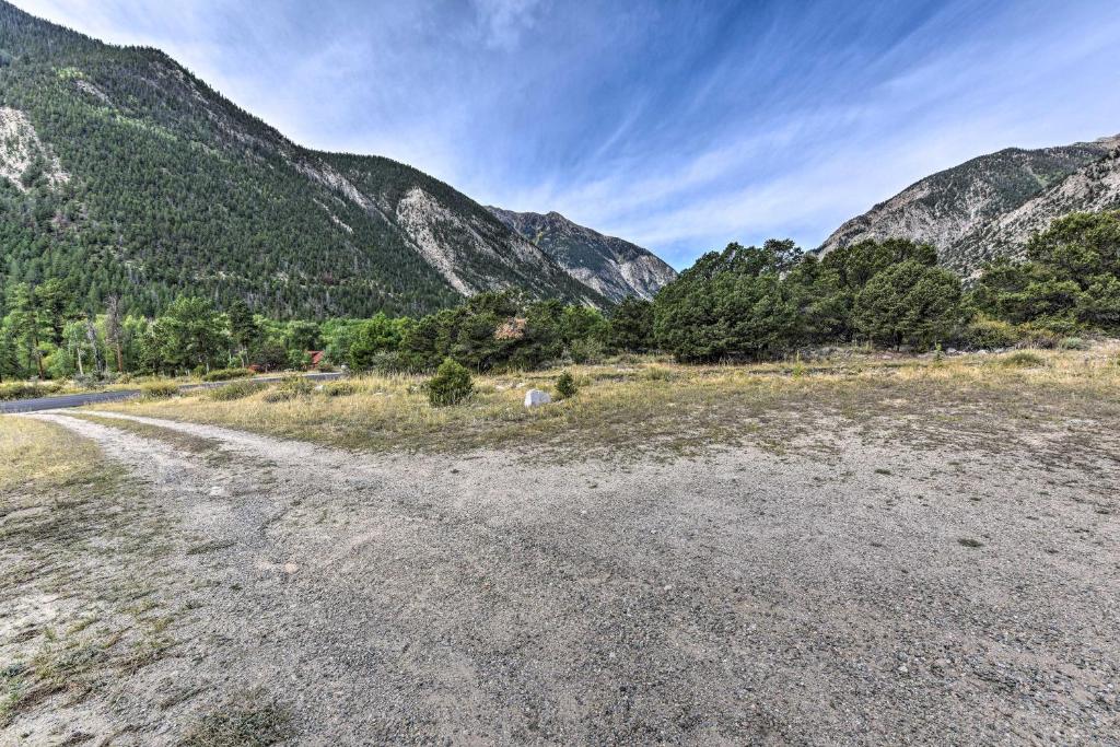 Remote Cabin 3 Miles to Mt Princeton Hot Springs! - image 7