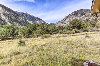 Remote Cabin 3 Miles to Mt Princeton Hot Springs! - image 8