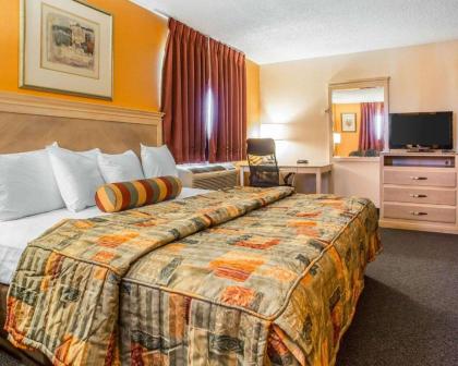 Rodeway Inn & Suites - image 6