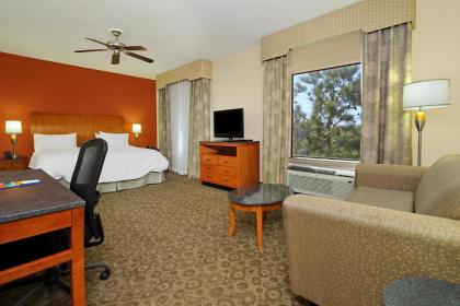 Hampton Inn & Suites Buffalo - image 16