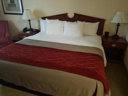 SureStay Plus Hotel by Best Western Buffalo - image 12