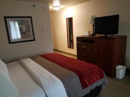 SureStay Plus Hotel by Best Western Buffalo - image 13