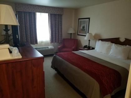 SureStay Plus Hotel by Best Western Buffalo - image 14