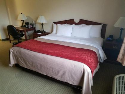 SureStay Plus Hotel by Best Western Buffalo - image 15