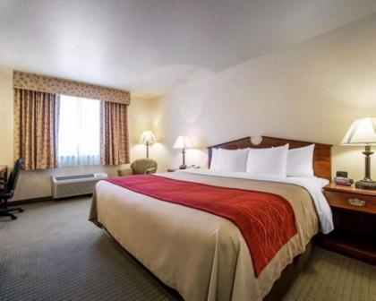 SureStay Plus Hotel by Best Western Buffalo - image 2