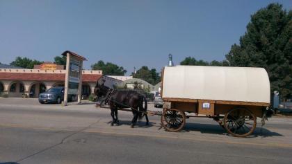 Big Horn Motel - image 4