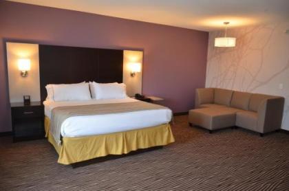 Holiday Inn Express & Suites Cheektowaga North East an IHG Hotel - image 4