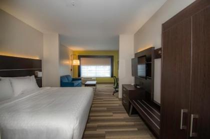 Holiday Inn Express & Suites Tonawanda - Buffalo Area an IHG Hotel - image 3