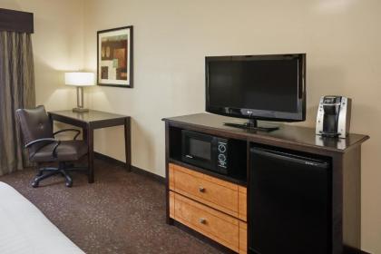 Holiday Inn Express Hotel & Suites Buford-Mall Of Georgia an IHG Hotel - image 6