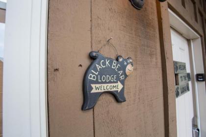 Black Bear Lodge Home - image 14