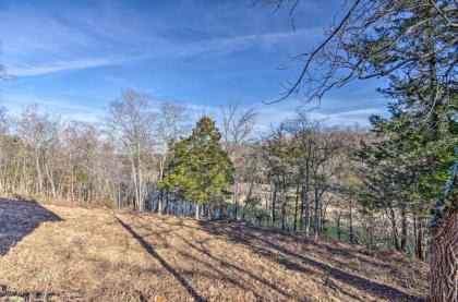 Fisherman-Friendly Bull Shoals Home on Lake! - image 15