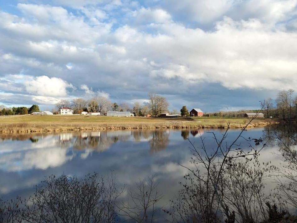 Tentrr Signature - Sunrise on the Pond at All Good Acres - image 2