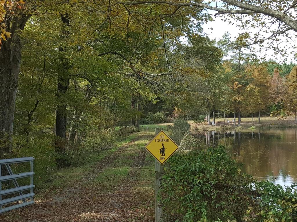 Tentrr Signature - Sunrise on the Pond at All Good Acres - image 6