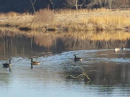 Tentrr Signature - Sunrise on the Pond at All Good Acres - image 7