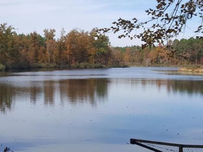 Tentrr Signature - Sunset on the Pond - image 2