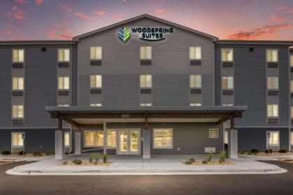 WoodSpring Suites Chicago Midway - image 3