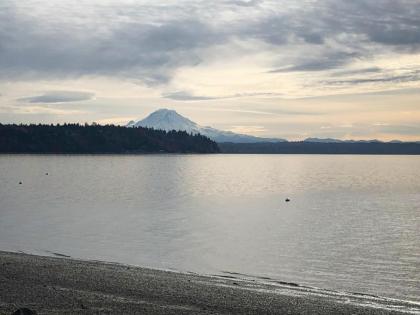 Olympic View Cottage - image 8