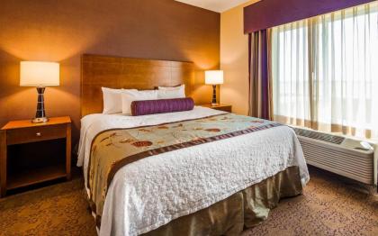 Best Western Plus Carousel Inn & Suites Burlington - image 15