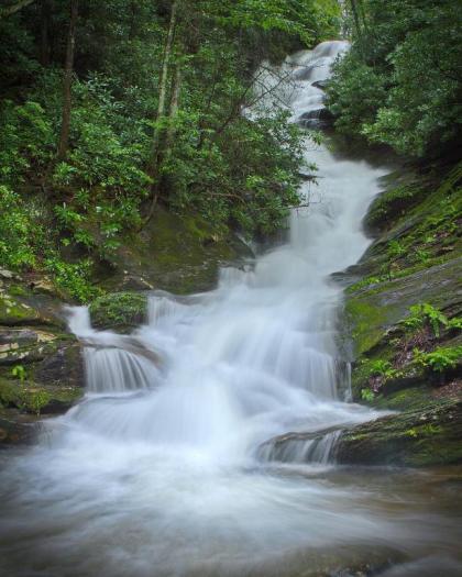 Mt Mitchell Cabin Rentals - image 11