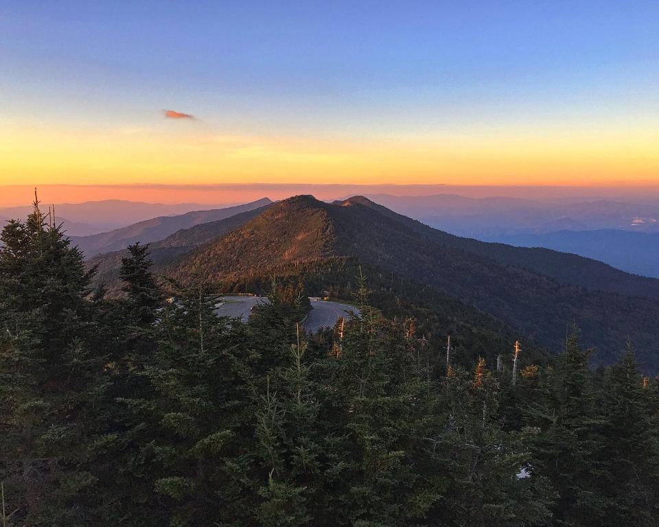 Mt Mitchell Cabin Rentals - image 4