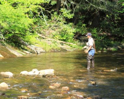 Mt Mitchell Cabin Rentals - image 5