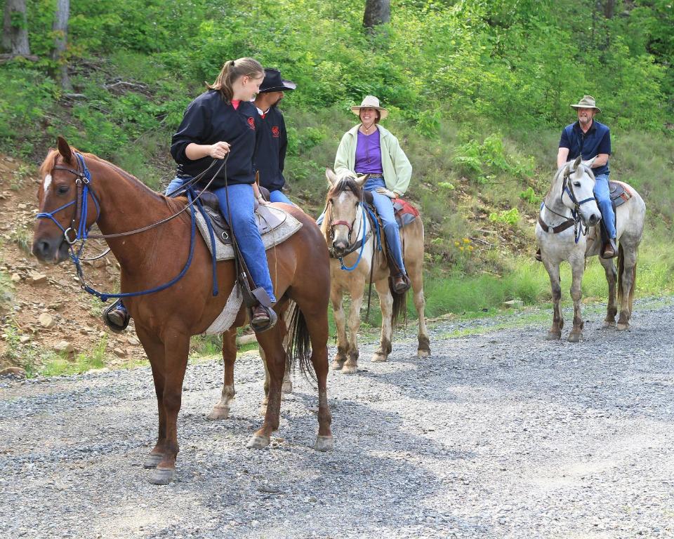 Mt Mitchell Cabin Rentals - image 7