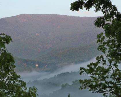 Mt Mitchell Cabin Rentals - image 8