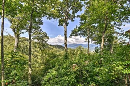 Mountaintop Home with Views 36 Miles to Asheville! - image 10