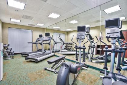 SpringHill Suites by Marriott Chicago SW Burr Ridge/Hinsdale - image 16