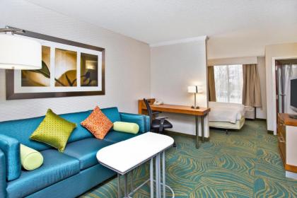 SpringHill Suites by Marriott Chicago SW Burr Ridge/Hinsdale - image 18