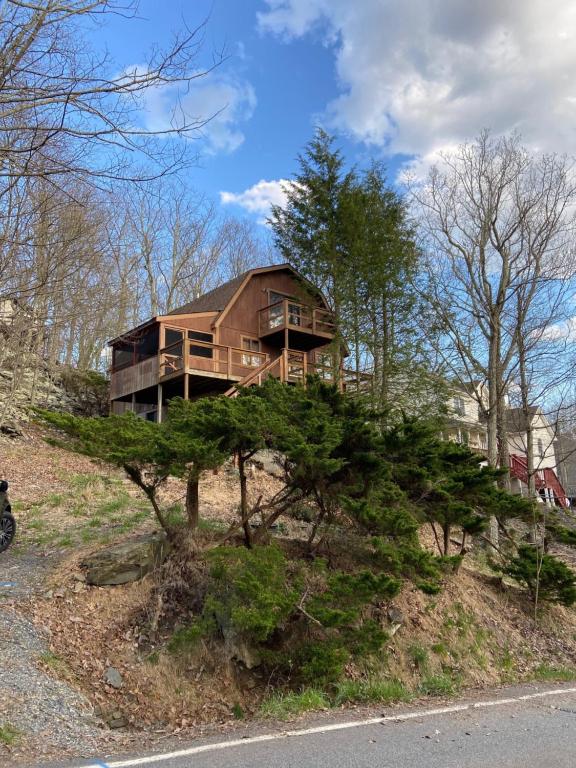 Saw Creek Cabin - Regent Hilltop - main image