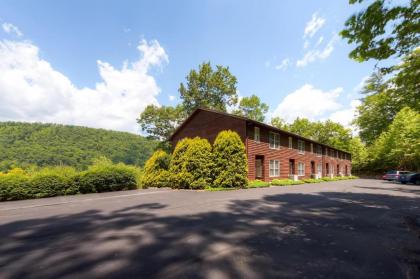 Mountainside Retreat - Stunning Watauga Lake Views - image 4