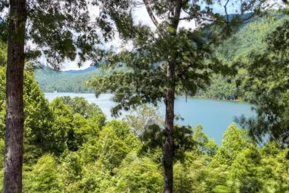 Mountainside Retreat - Stunning Watauga Lake Views - image 6