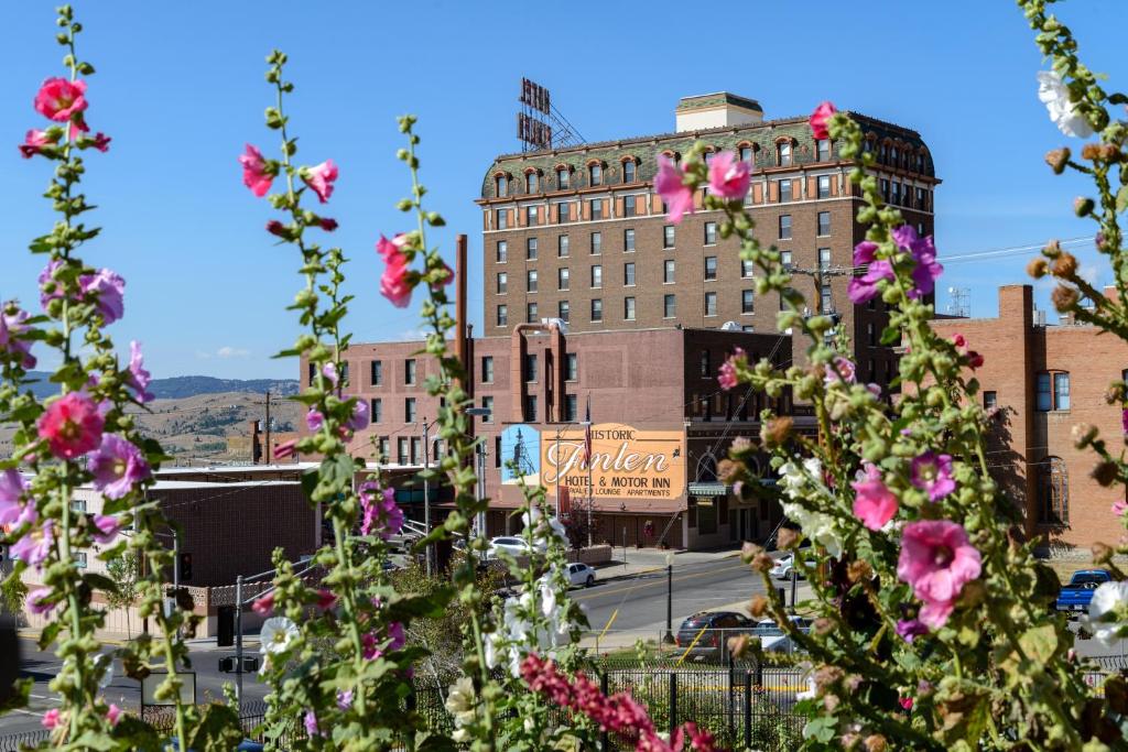 Finlen Hotel and Motor Inn - image 6