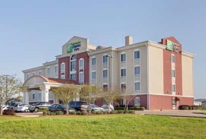 Holiday Inn Express Hotel & Suites Byram an IHG Hotel - image 16