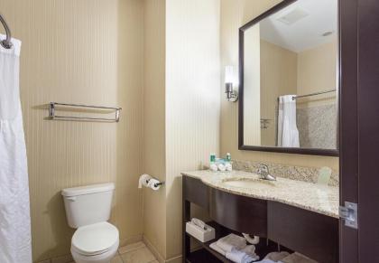 Holiday Inn Express Hotel & Suites Byram an IHG Hotel - image 2