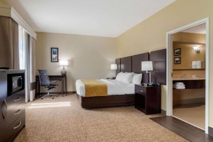 Comfort Suites Byron Warner Robins - image 12