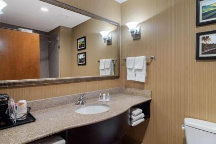 Comfort Suites Byron Warner Robins - image 7