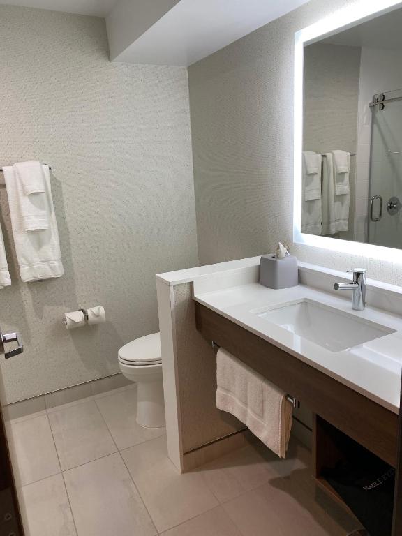 Holiday Inn Express & Suites Chatsworth an IHG Hotel - image 2