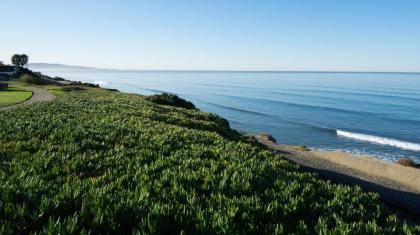 DoubleTree by Hilton San Diego Del Mar - image 2