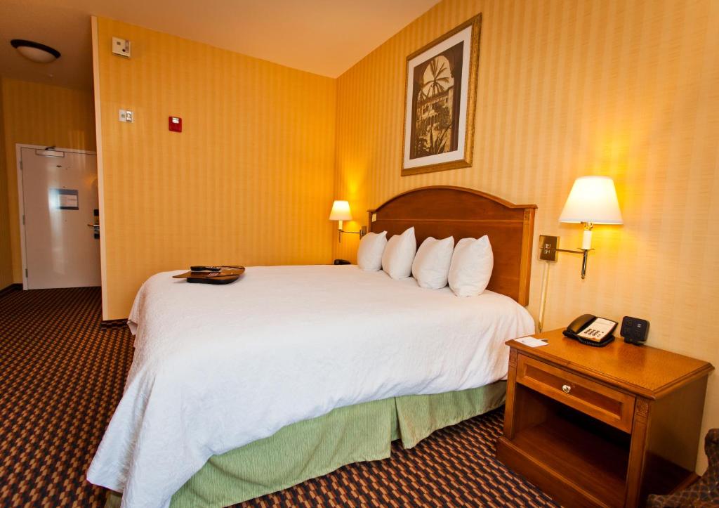 Hampton Inn & Suites Sacramento-Auburn Boulevard - image 3