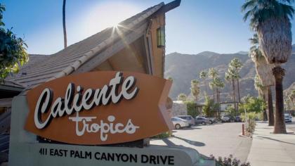 Caliente Tropics - image 3